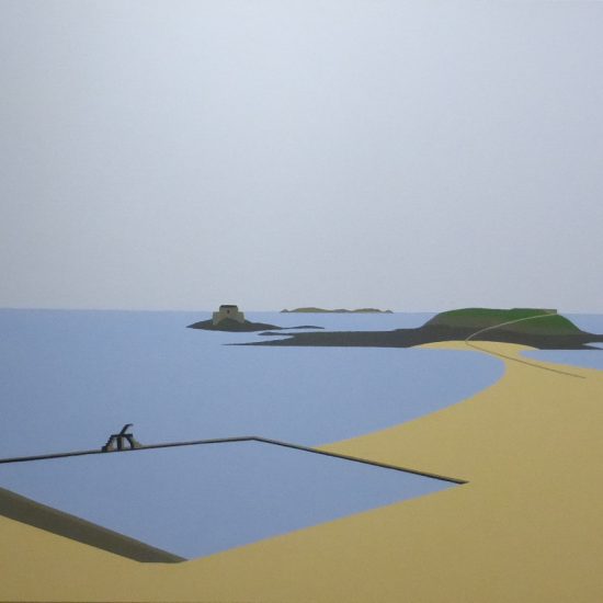 La piscine de La plage Bons Secours 100x65